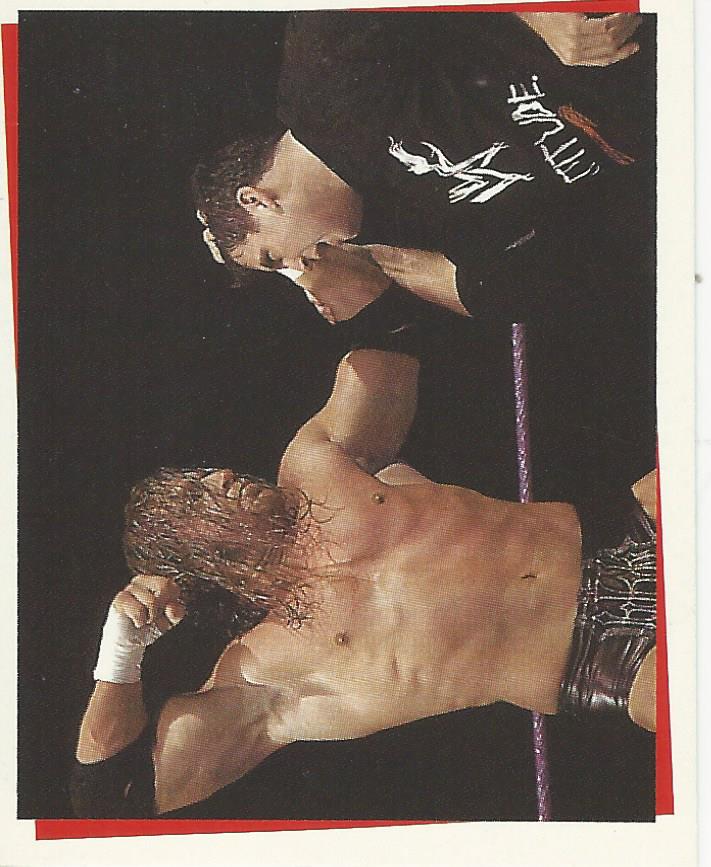 WWF Smackdown Stickers 2000 Triple H #94