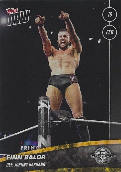 Finn Balor DEF. Johnny Gargano trading card PW Catalog