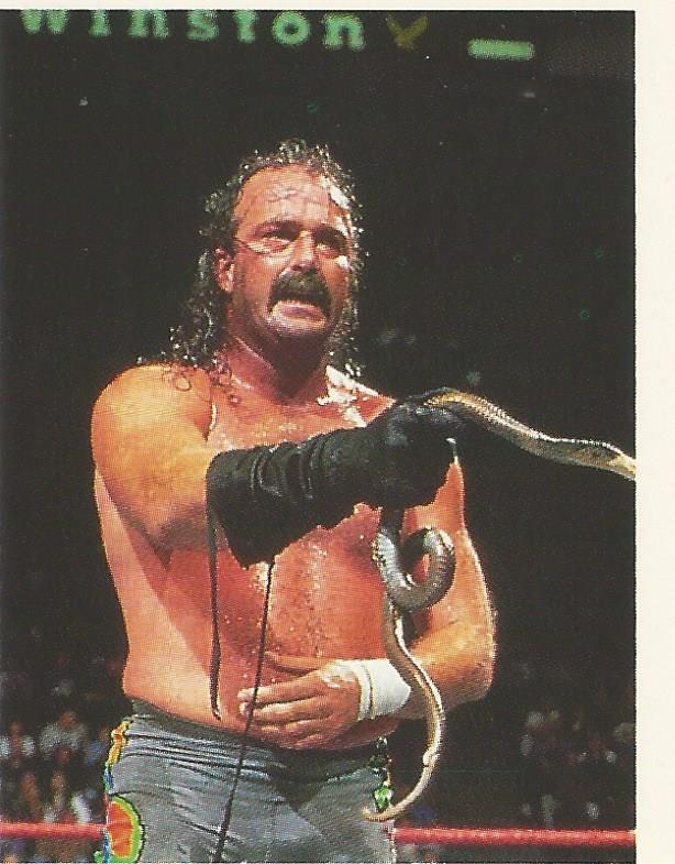 WWF Merlin Stickers 1991 Jake the Snake Roberts #95
