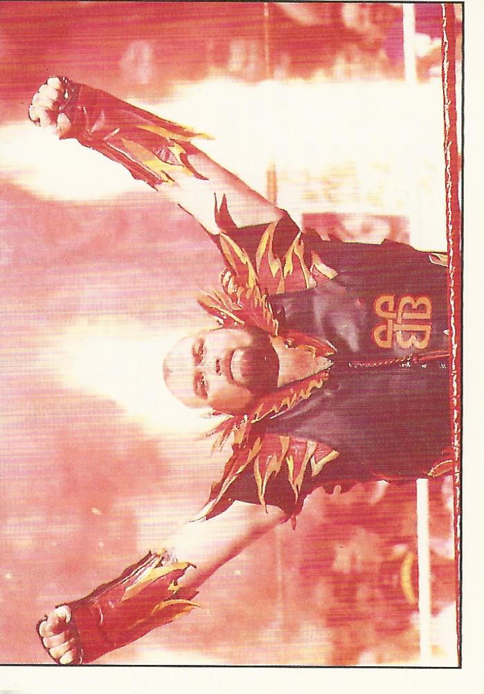 WWF Panini 1995 Sticker Collection Bam Bam Bigelow #95