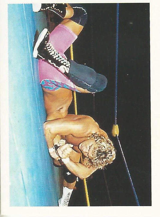 WCW Euroflash 1992 Sticker Brian Pillman #95