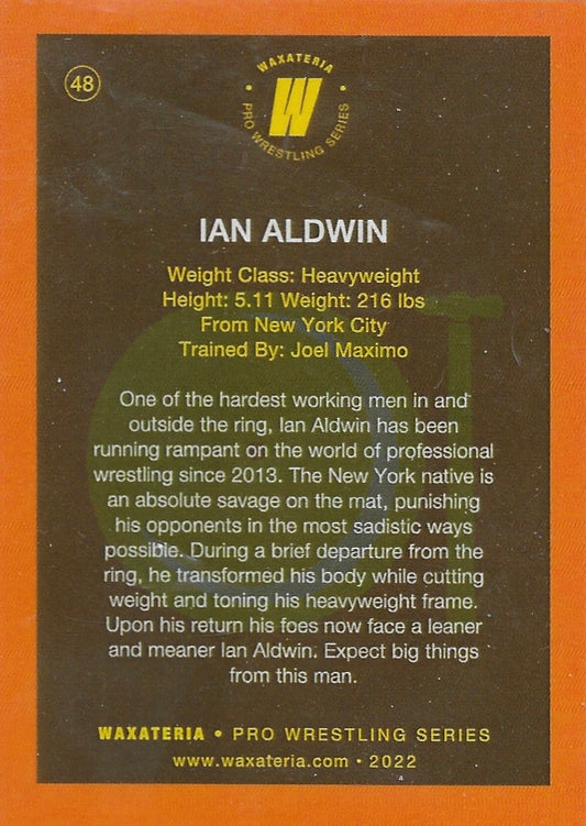 IAN Aldwin - image 2
