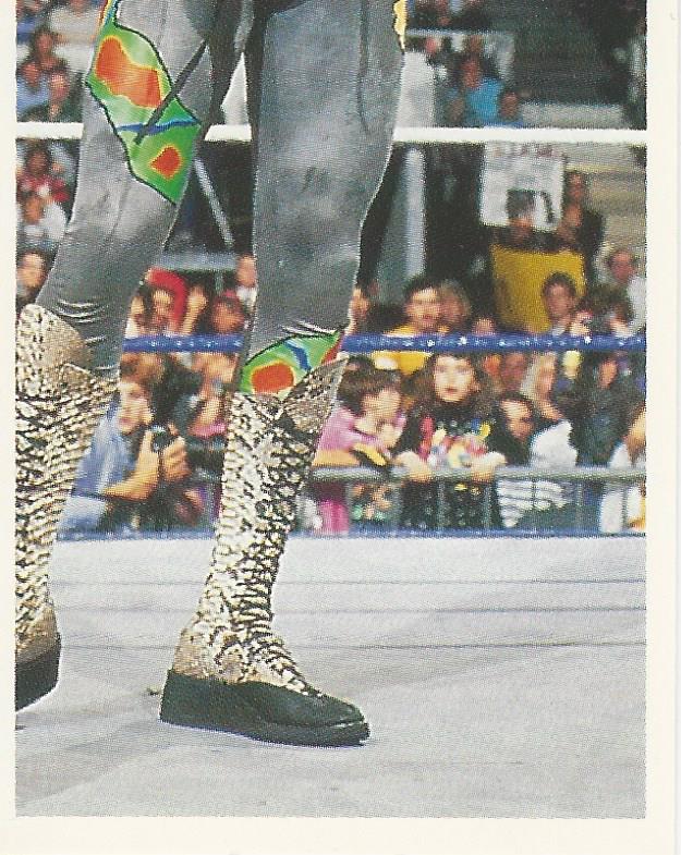WWF Merlin Stickers 1991 Jake the Snake Roberts #96