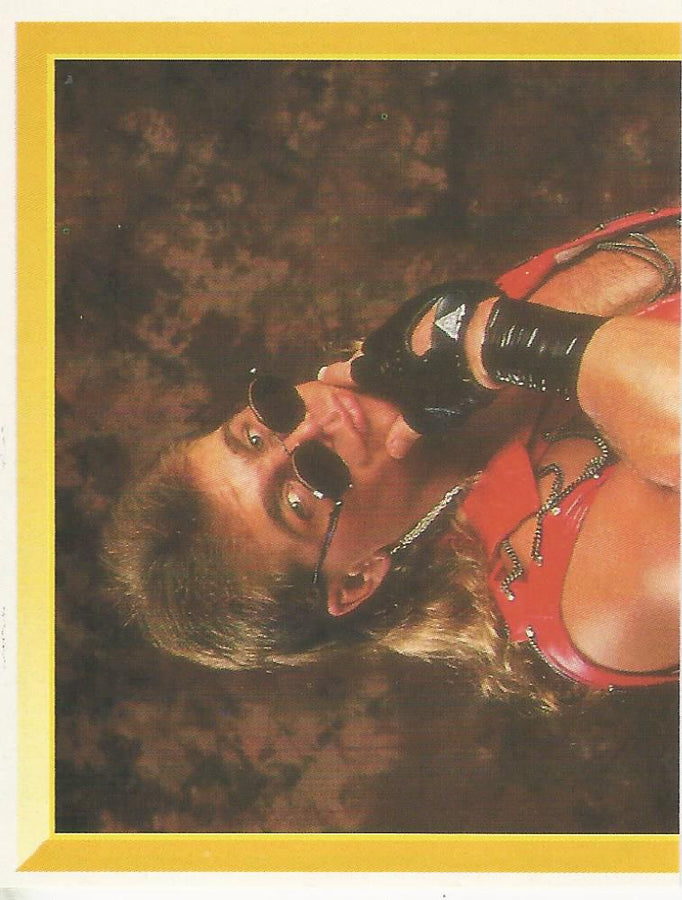 WWF Merlin Sticker 1994 Shawn Michaels #96