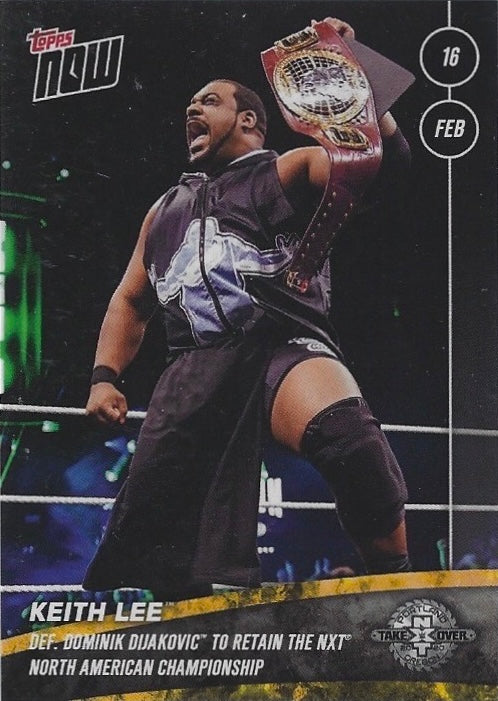 Keith LEE DEF. Dominik Dijakovic to Retain the NXT North American Championship trading card PW Catalog