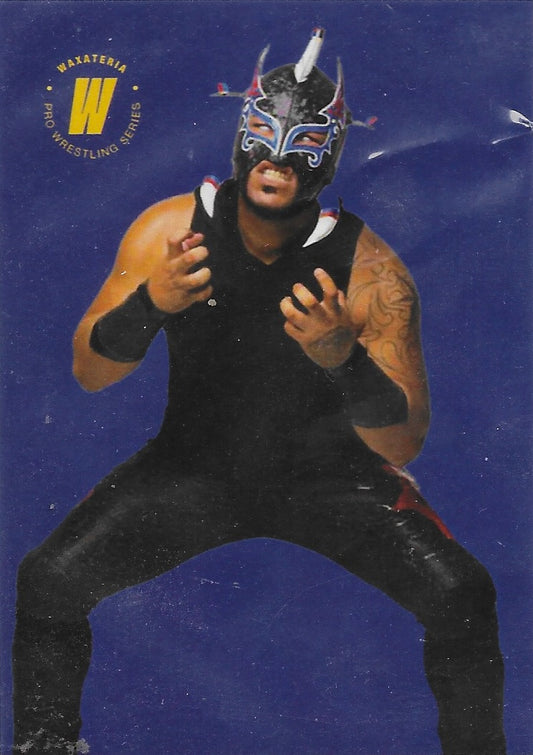 Injodible MB trading card PW Catalog