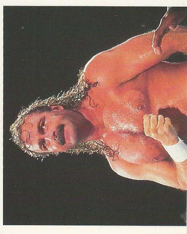 WWF Merlin Stickers 1991 Jake the Snake Roberts #97