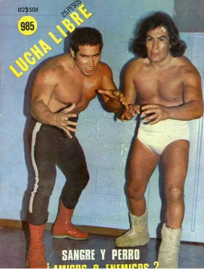Lucha Libre Volume 985 Magazine PWcatalog