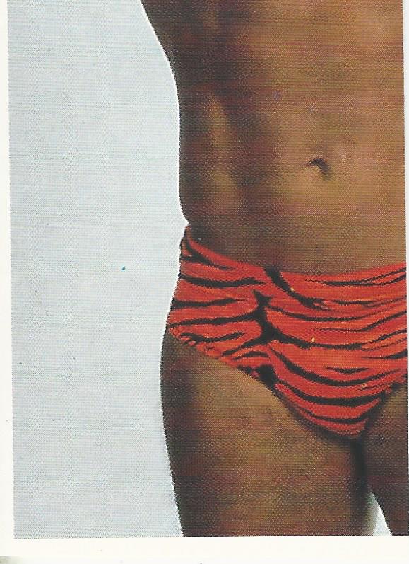 WCW Euroflash 1992 Sticker Brian Pillman #98