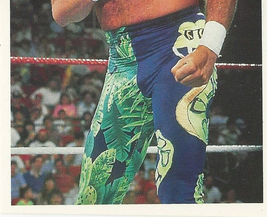 WWF Merlin Stickers 1991 Jake the Snake Roberts #98