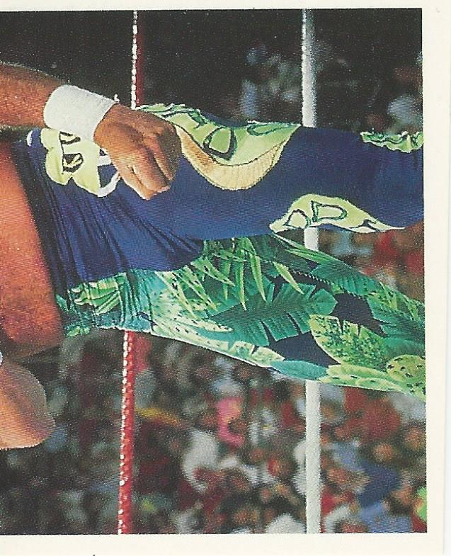 WWF Merlin Stickers 1991 Jake the Snake Roberts #98