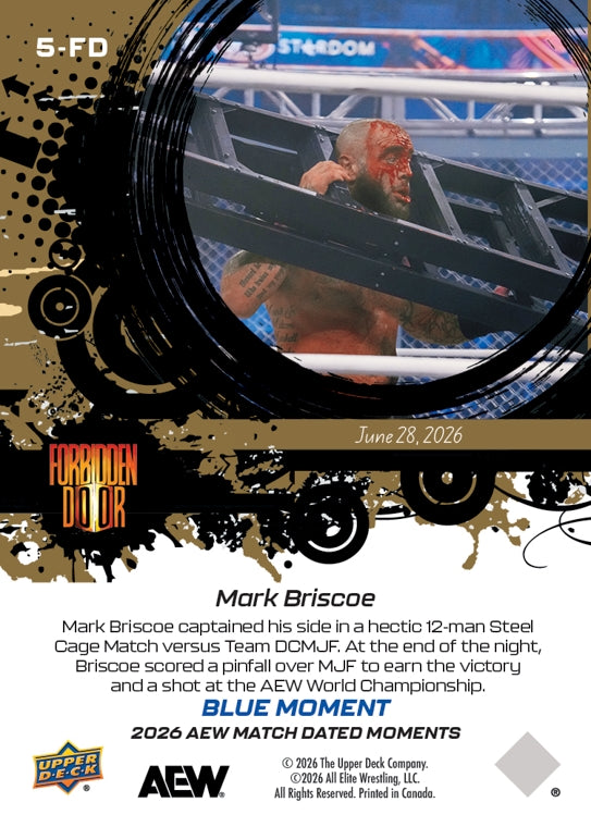 Mark Briscoe – Mark Briscoe Earns a Championship Match After HIS Team Defeats Team Dcmjf in a Steel Cage