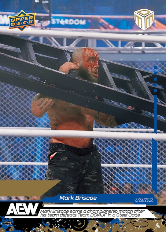 Mark Briscoe – Mark Briscoe Earns a Championship Match After HIS Team Defeats Team Dcmjf in a Steel Cage