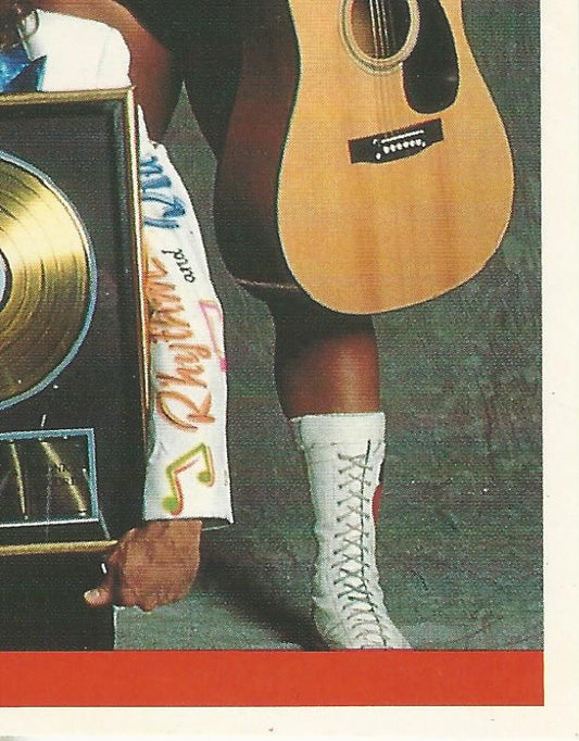 WWF Merlin Sticker Collection 1990 Rhythm and Blues #99