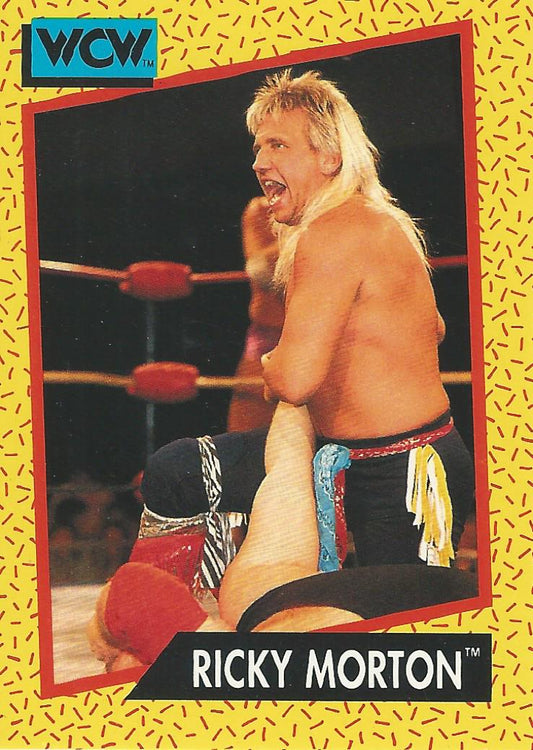 WCW Impel 1991 Ricky Morton #99
