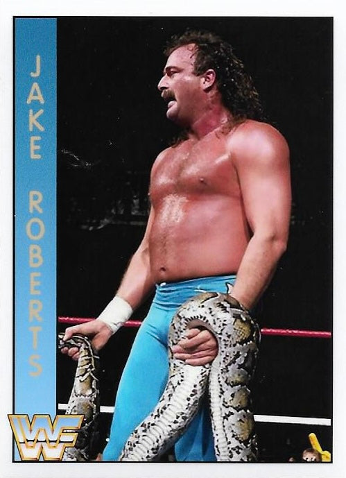 Jake Roberts