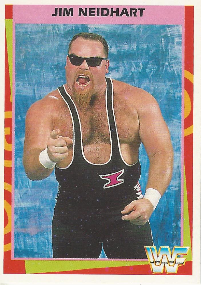 WWF Merlin 1995 Jim Neidhart #9
