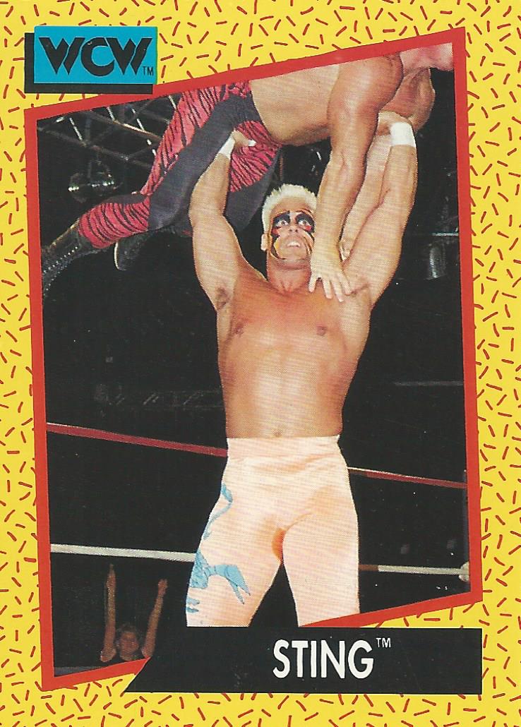 WCW Impel 1991 Sting #9
