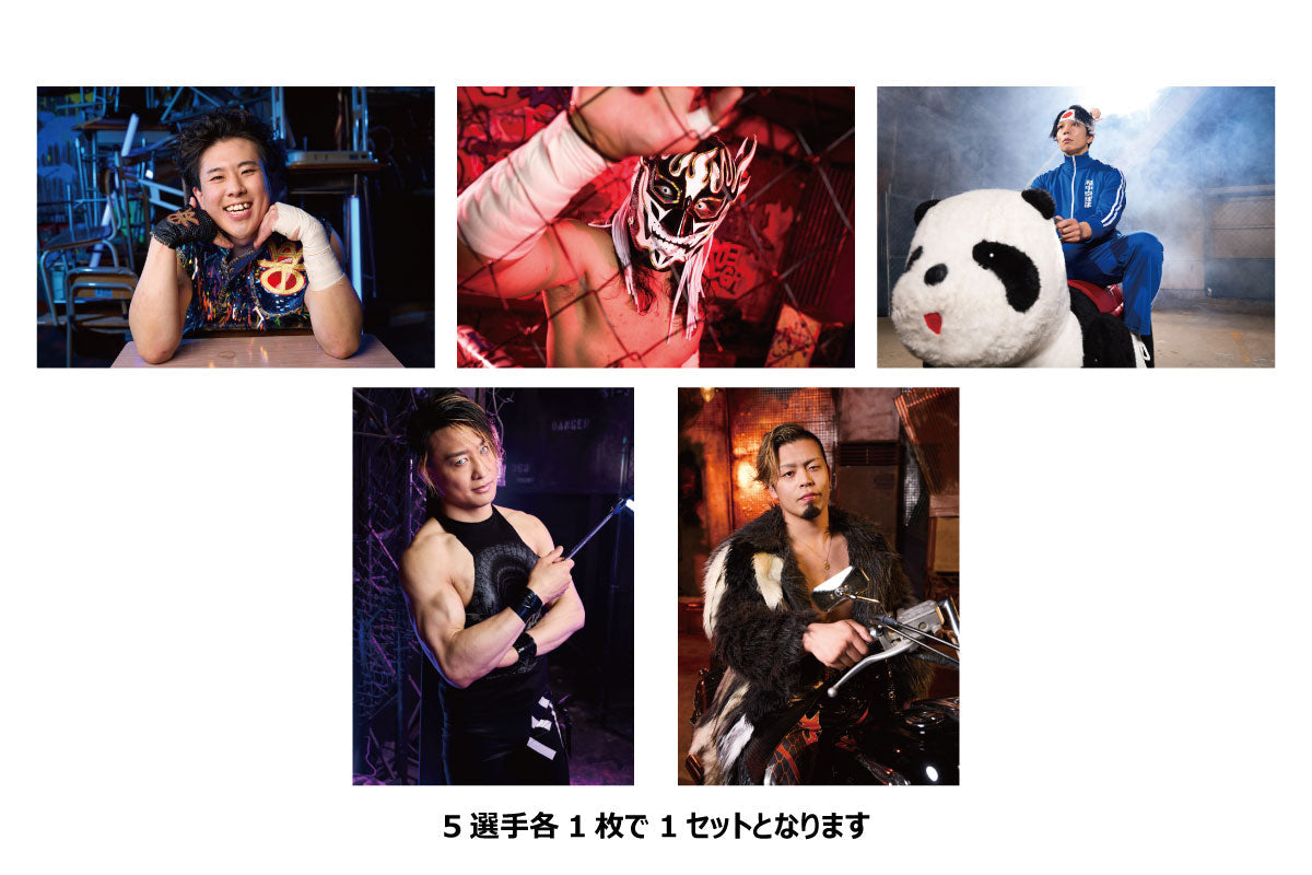 BEST OF THE SUPER Jr. 33 Portrait Set [Pre-Order] Portrait PW Catalog