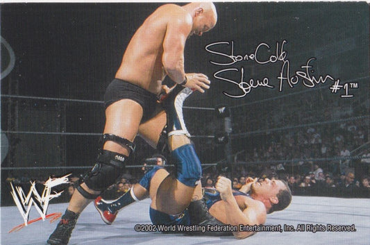 Steve Austin WWF Ice Cream Cut-out 2002 Good Humor Variant card