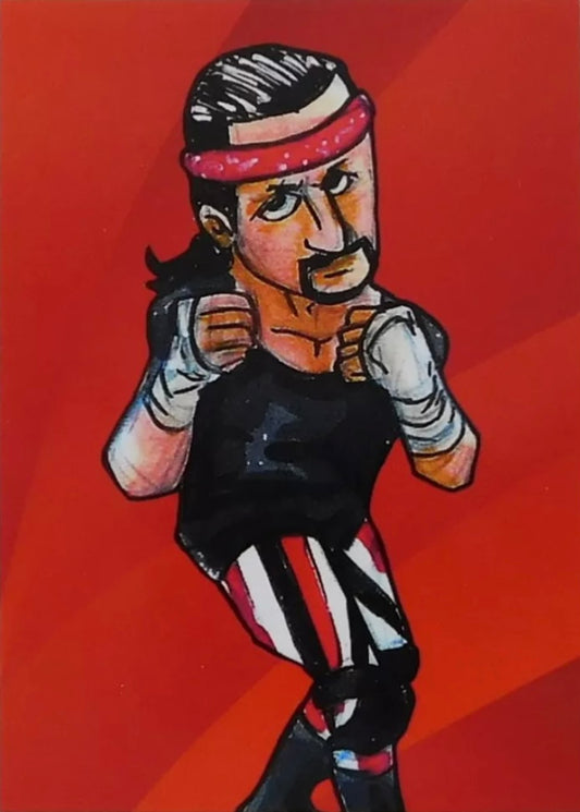 Terry Funk
