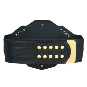 NXT Championship Replica Title (2017)