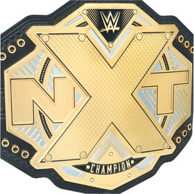 NXT Championship Replica Title (2017)
