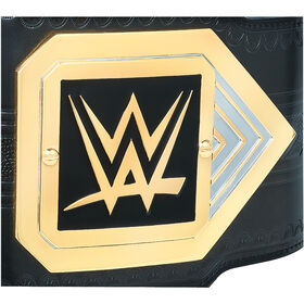 NXT Championship Replica Title (2017)