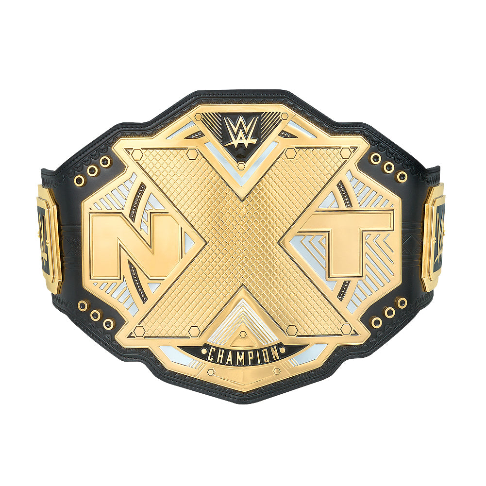 NXT Championship Replica Title (2017)