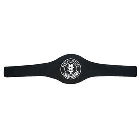 NXT Women's Championship Replica Title (2017)