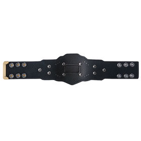 NXT Championship 2018 Mini Replica Title