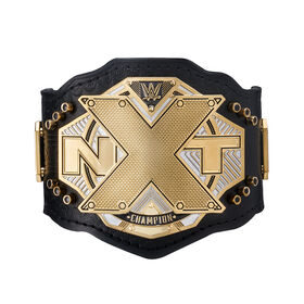 NXT Championship 2018 Mini Replica Title