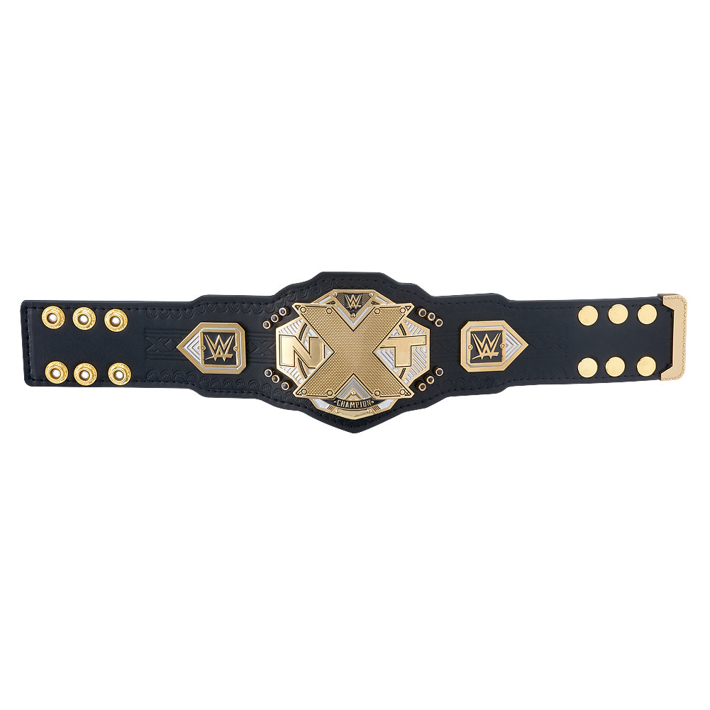 NXT Championship 2018 Mini Replica Title