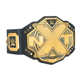 NXT Championship Toy Title