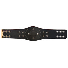 NXT North American Championship Mini Replica Title
