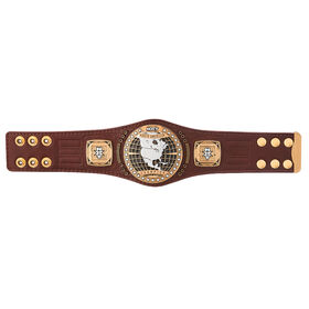 NXT North American Championship Mini Replica Title