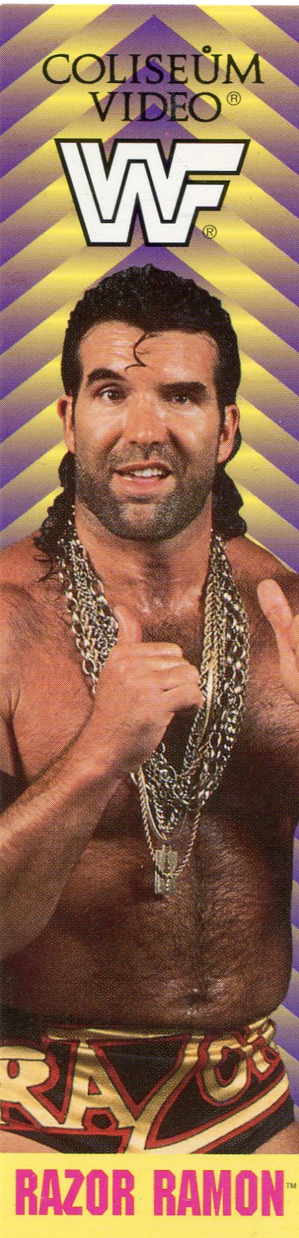 Wwf Magazine Razor Ramon School Supplies – PW Catalog
