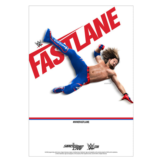 WWE FastLane 2018 Poster Wall art PW Catalog