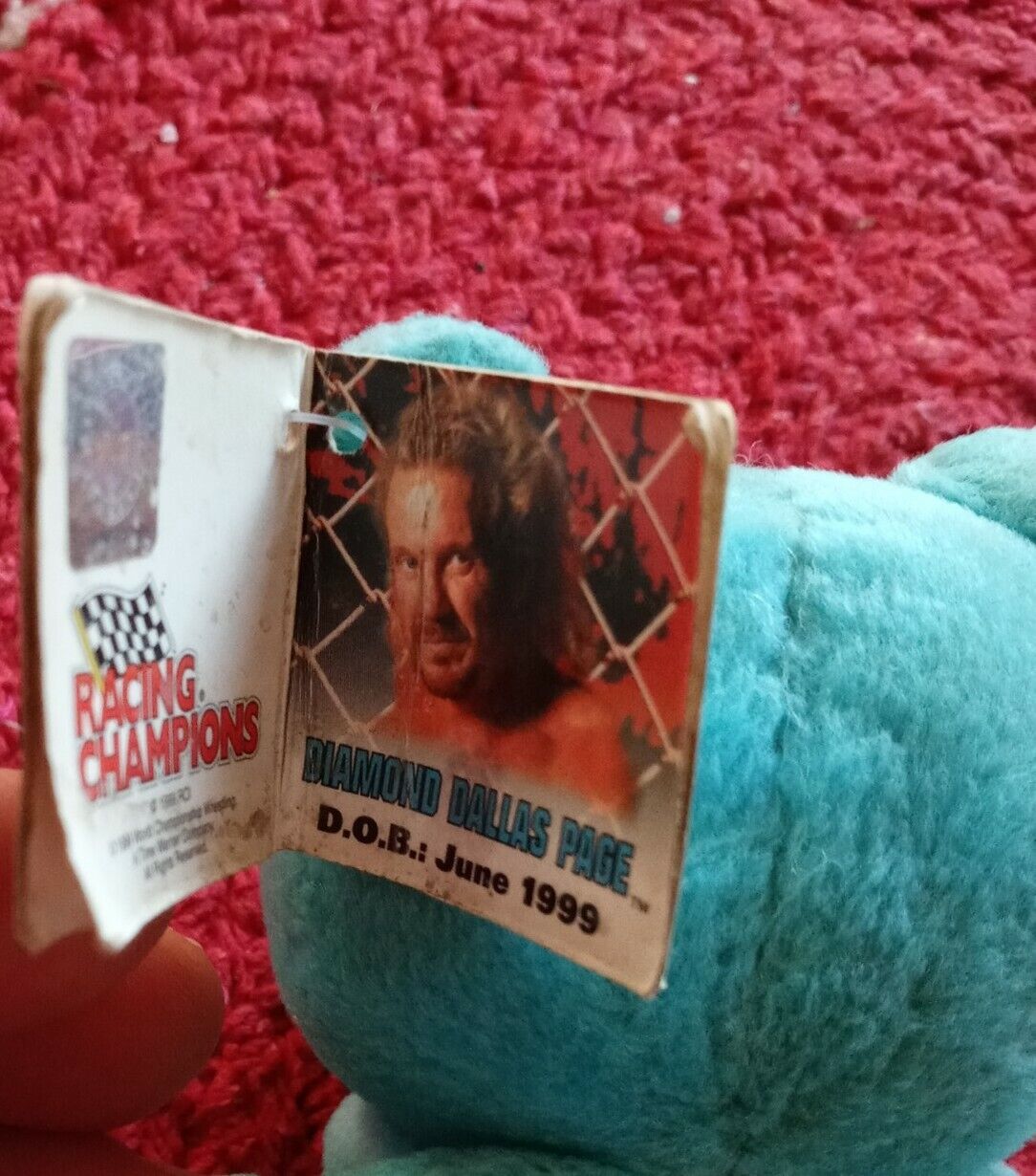 WCW DDP Nitros Bears & Wolves 9" Beanie Bear 1999 by Racing Champions Pwcatalog