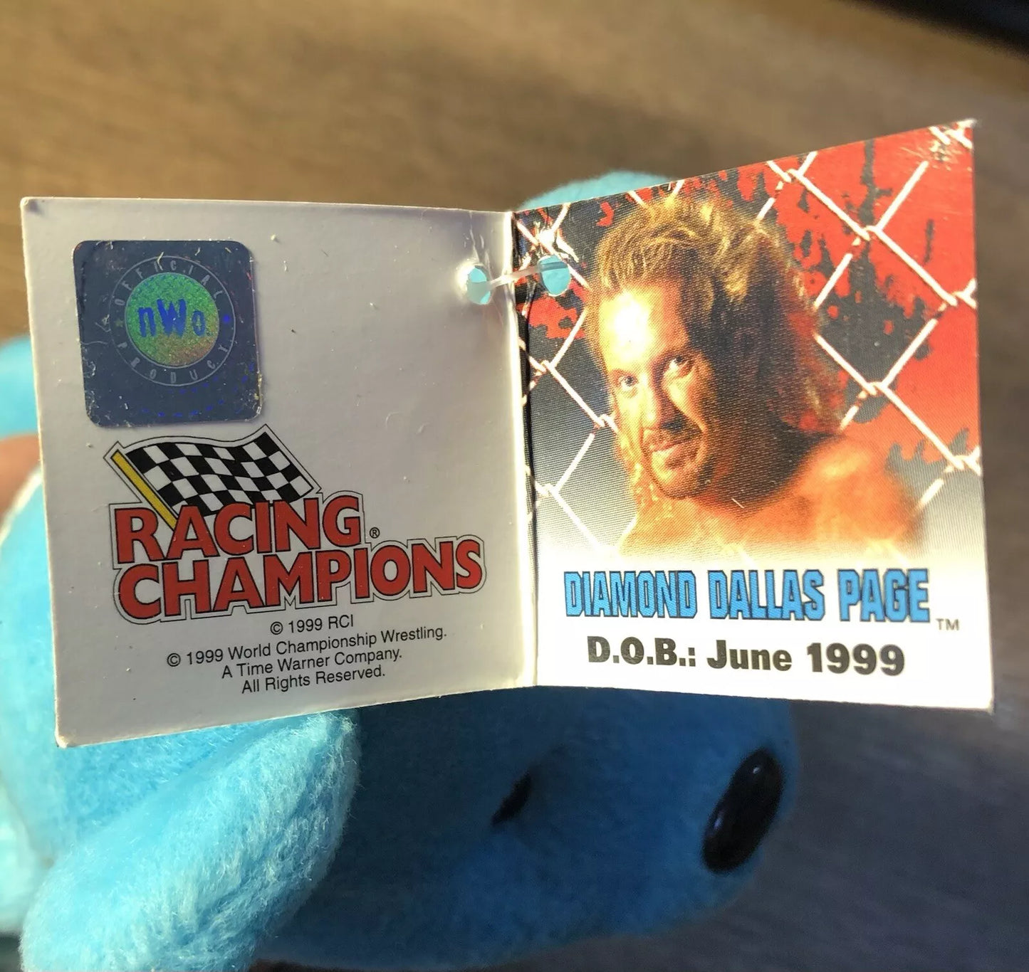 WCW DDP Nitros Bears & Wolves 9" Beanie Bear 1999 by Racing Champions Pwcatalog