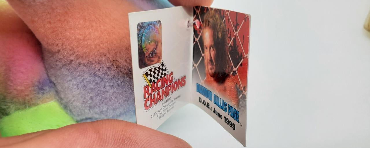 WCW DDP Tie-Dyed Nitros Bears & Wolves 9" Beanie Bear 1999 by Racing Champions Pwcatalog