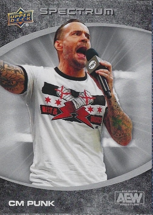 CM Punk
