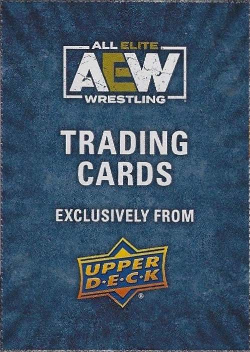 AEW Title Card
