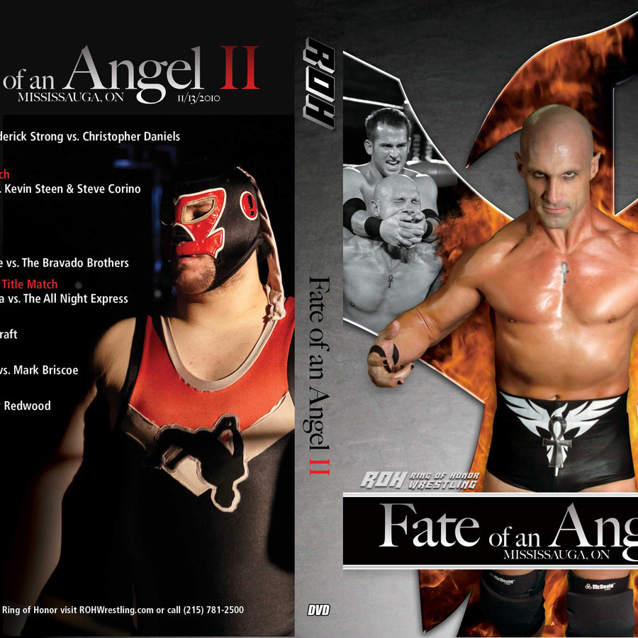 Fate of an Angel II- Mississauga, ON 11/13/10