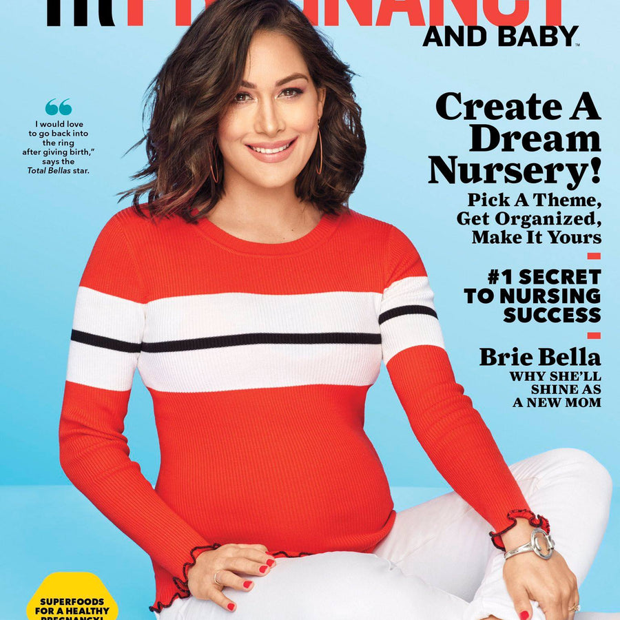 FitPregnancy April 2017 Brie Bella Magazine PWcatalog