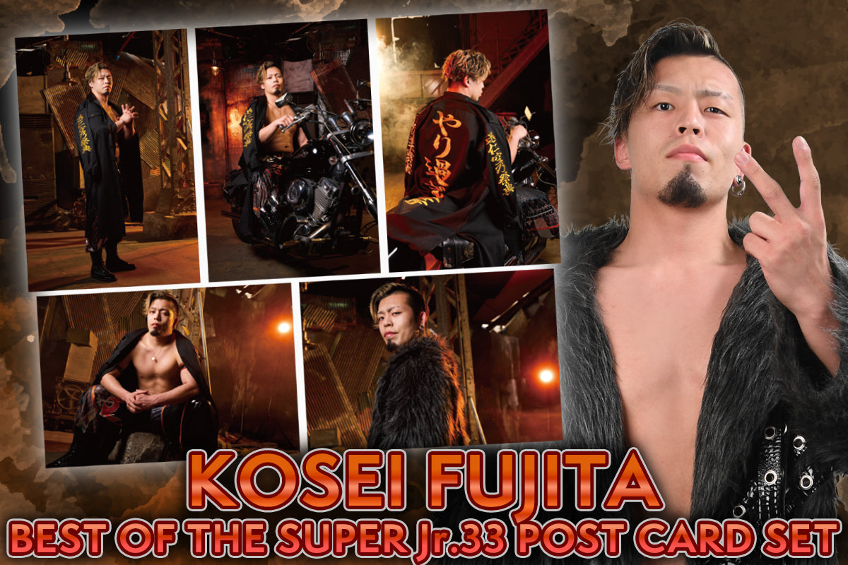 Kosei Fujita Postcard Set [Pre-Order] Other Goods PW Catalog