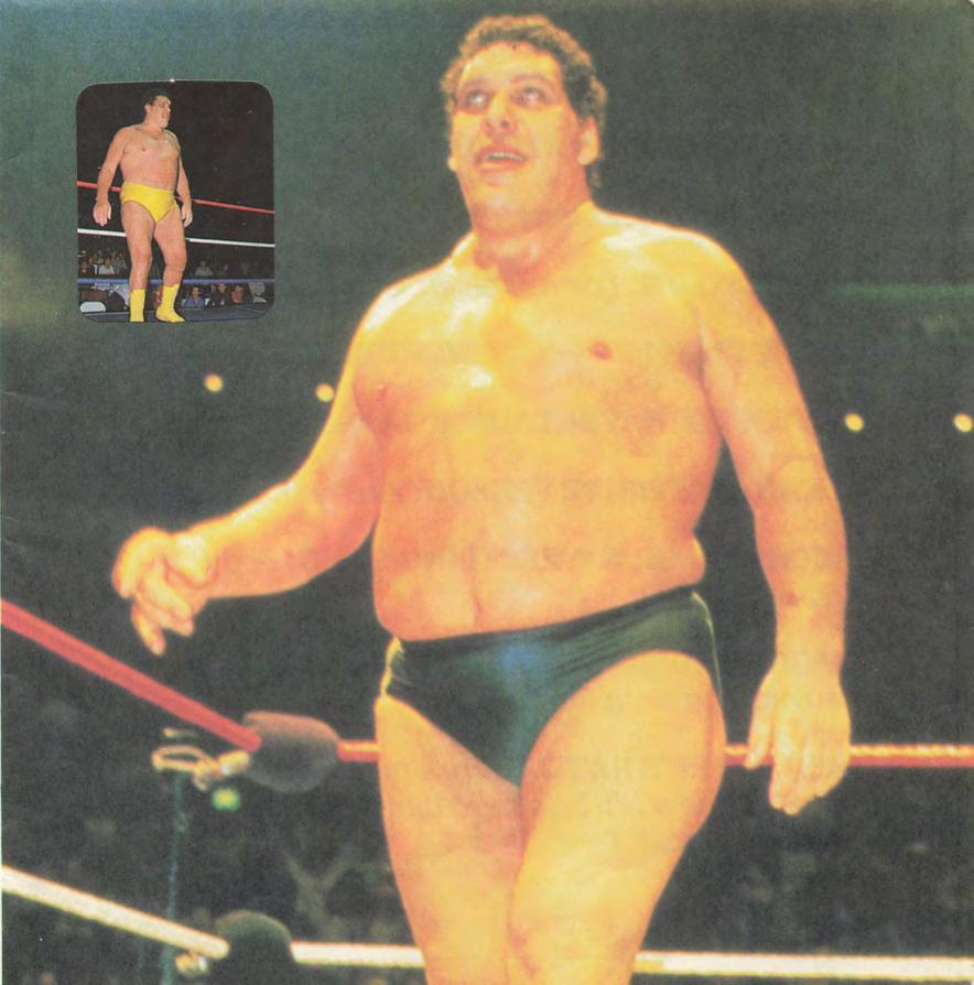 1986 guide to wwf wrestling superstars Magazine Pwcatalog