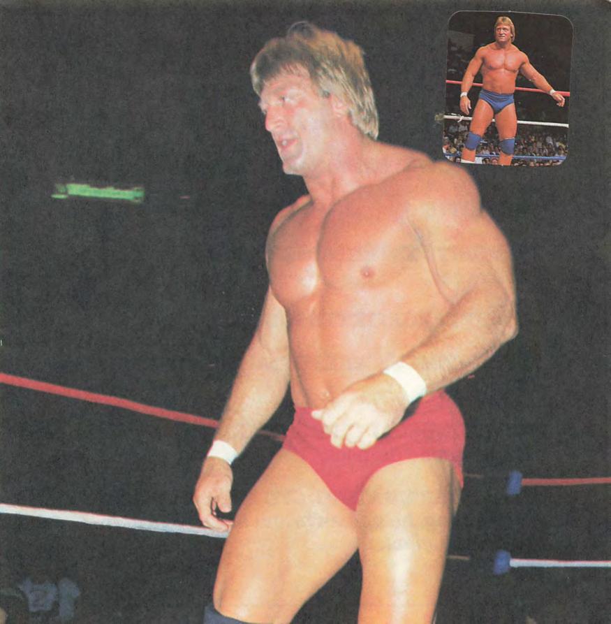 1986 guide to wwf wrestling superstars Magazine Pwcatalog
