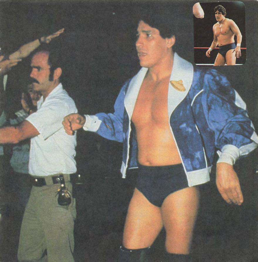 1986 guide to wwf wrestling superstars Magazine Pwcatalog