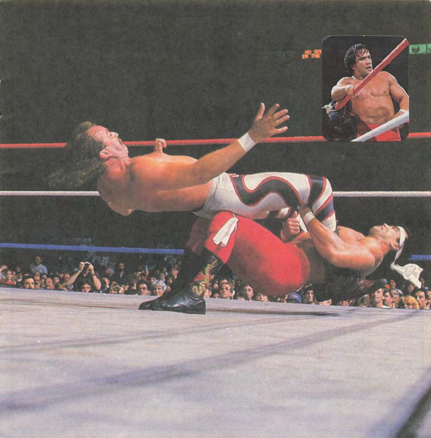 1986 guide to wwf wrestling superstars Magazine Pwcatalog
